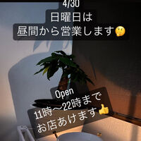 画像1279